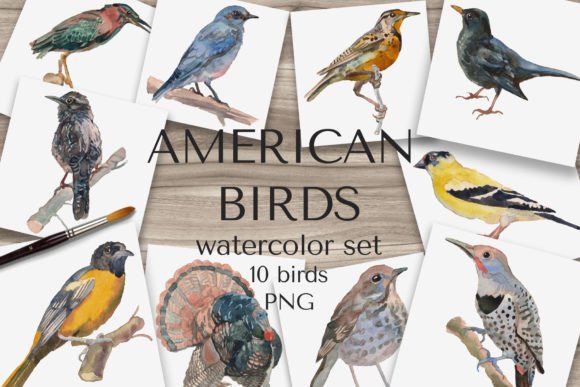 Download "American Birds" Watercolor Set - Birds Collection